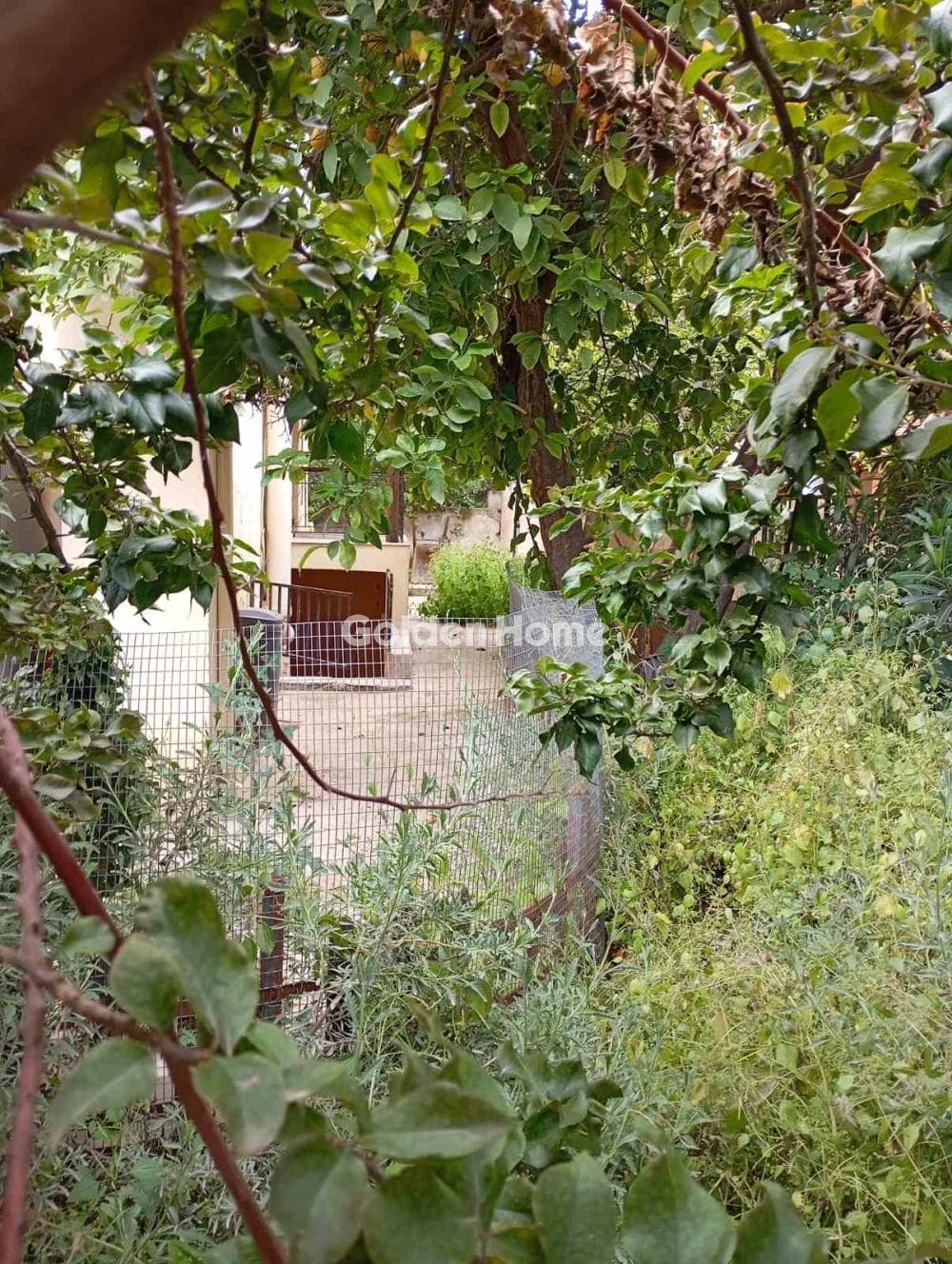 Οικόπεδο στην Παναγίτσα, Παλαιό Φάληρο — Φωτογραφία 7 από 8