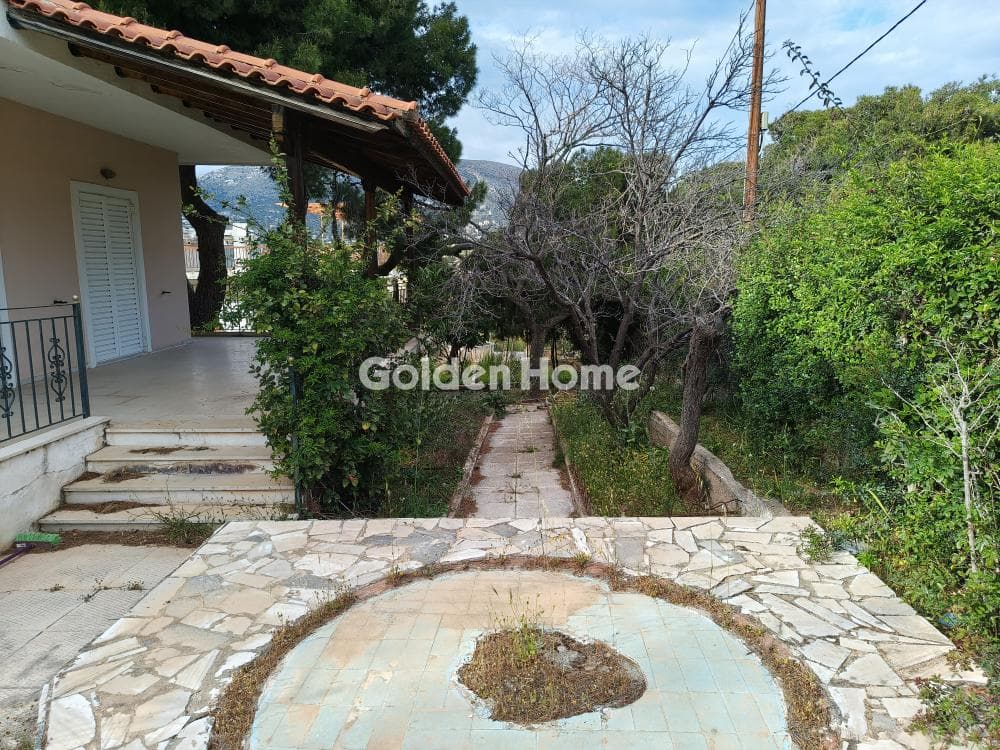 House in Agios Nikolaos, Anavissos — Photo 12 of 13