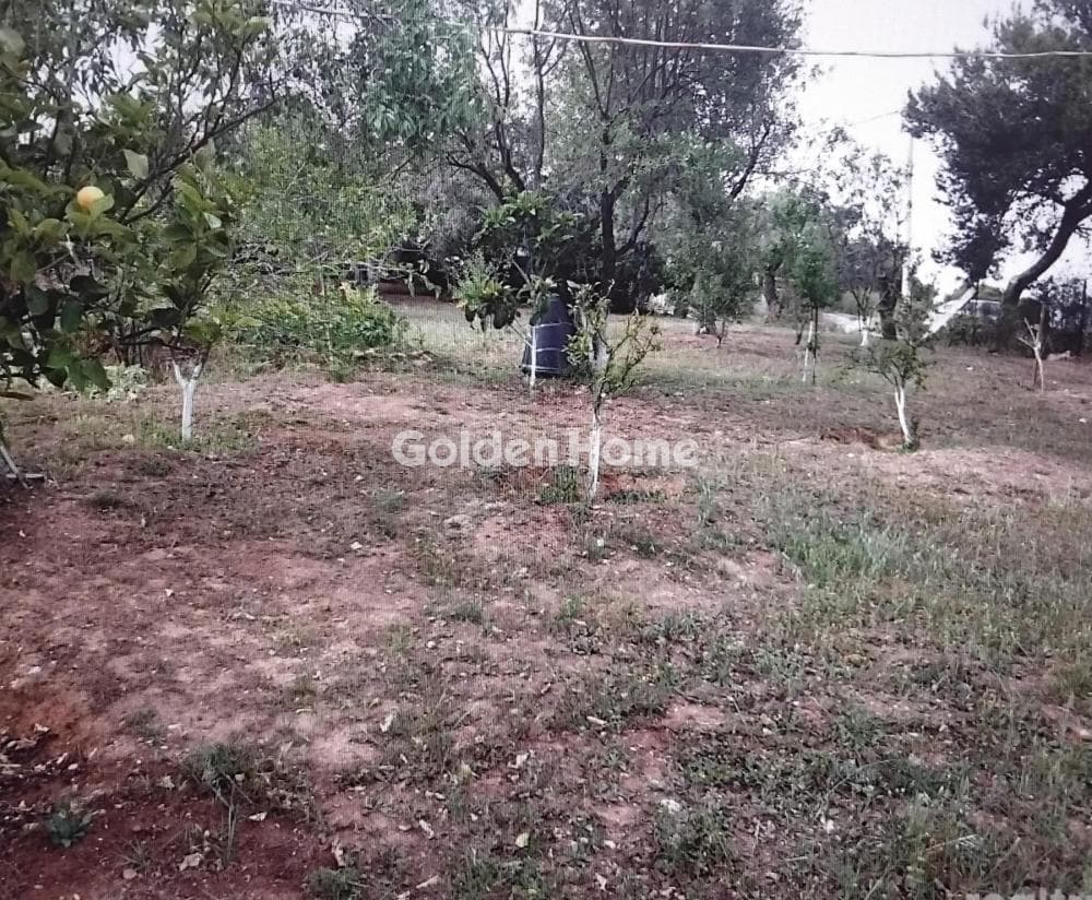 Μονοκατοικία στην Οικισμός Βγενά, Ραφήνα — Φωτογραφία 21 από 24