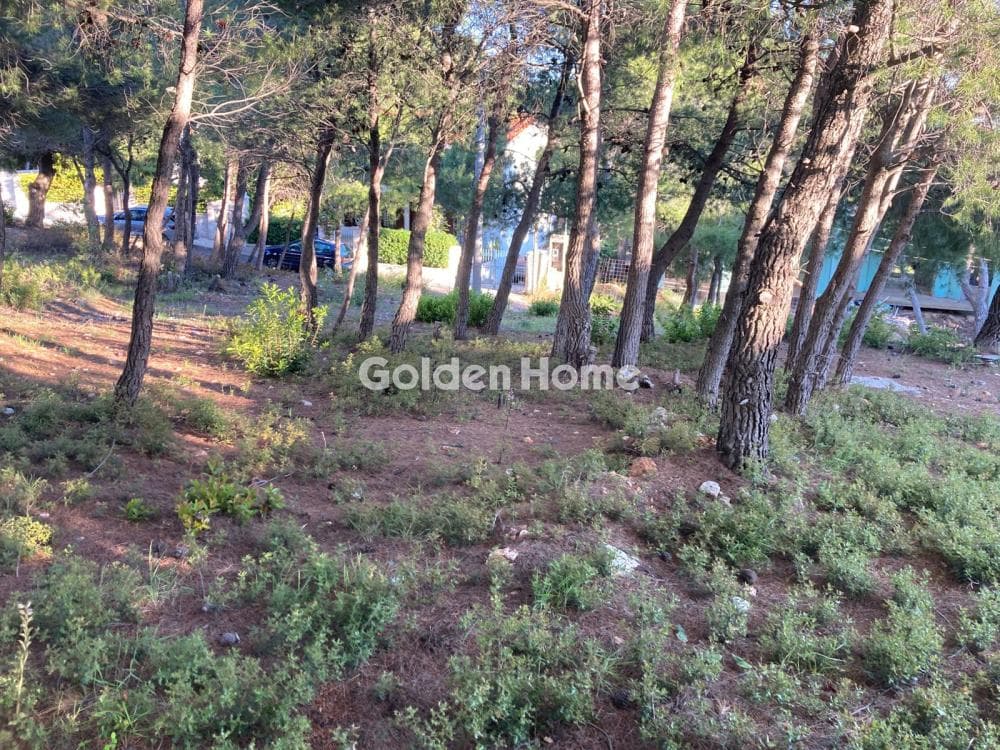 Building Plot in Megala Sxoinia A, Acharnes — Photo 3 of 3
