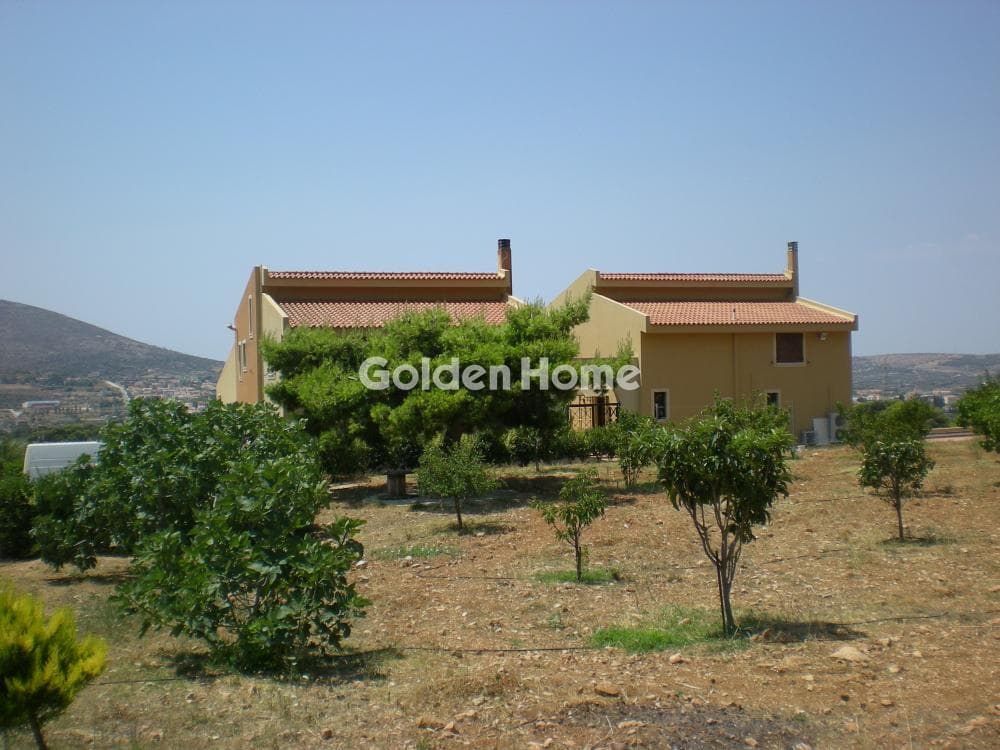 House in Κέντρο, Kalivia Thorikou — Photo 25 of 67