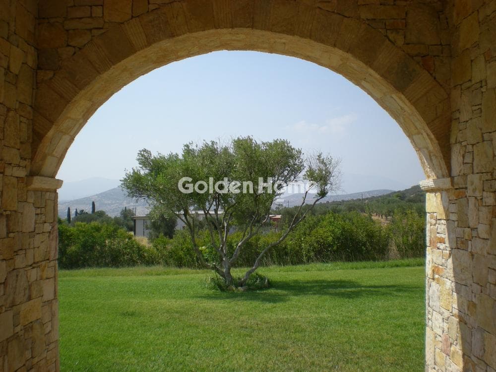 House in Κέντρο, Kalivia Thorikou — Photo 53 of 67