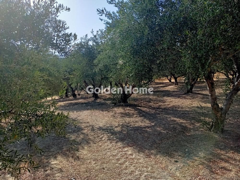 Αγροτεμάχιο στην Αθάνατοι, Τέμενος — Φωτογραφία 2 από 2