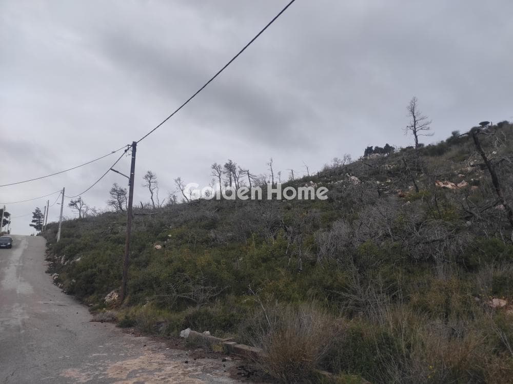 Building Plot in Agia Triada, Afidnes — Photo 7 of 7
