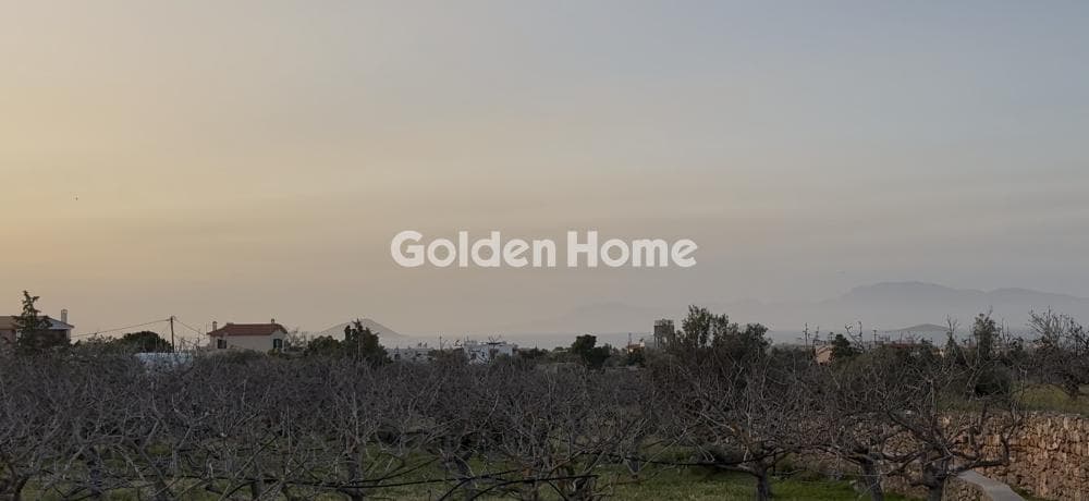 Οικόπεδο στην Κυψέλη, Αίγινα — Φωτογραφία 5 από 5
