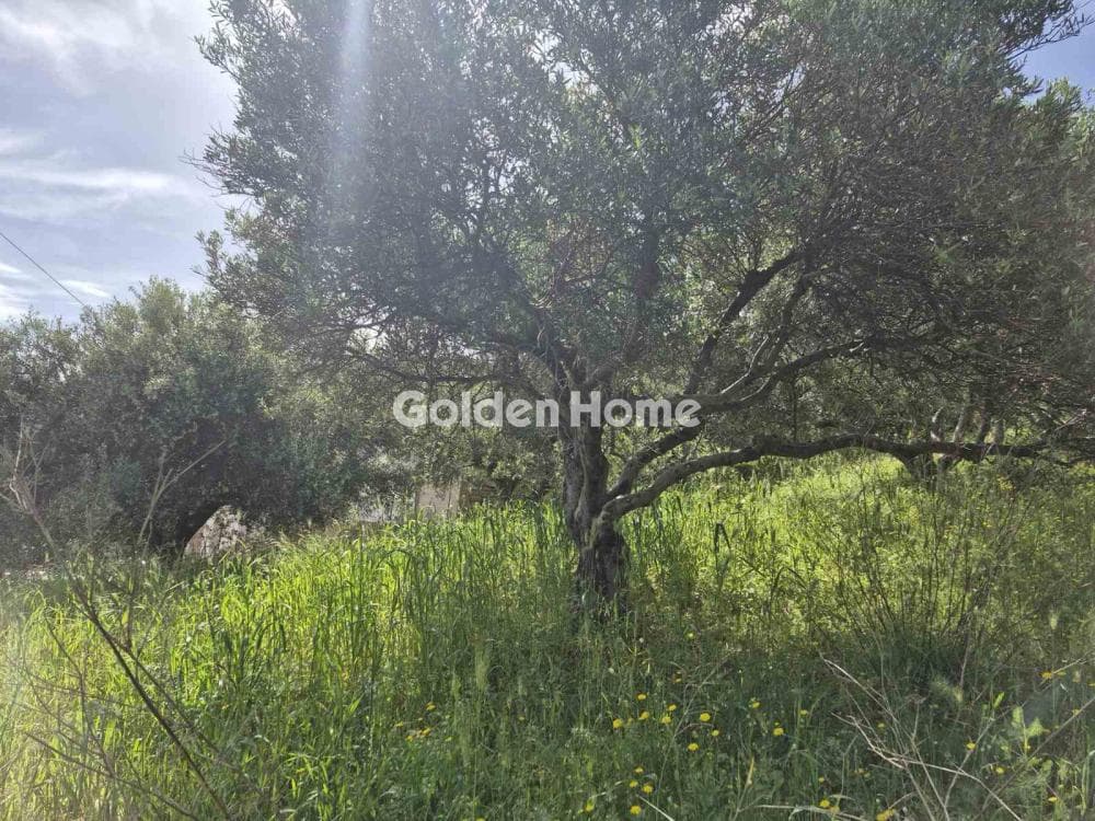 Building Plot in Kato Archanes, Archanes — Photo 1 of 15