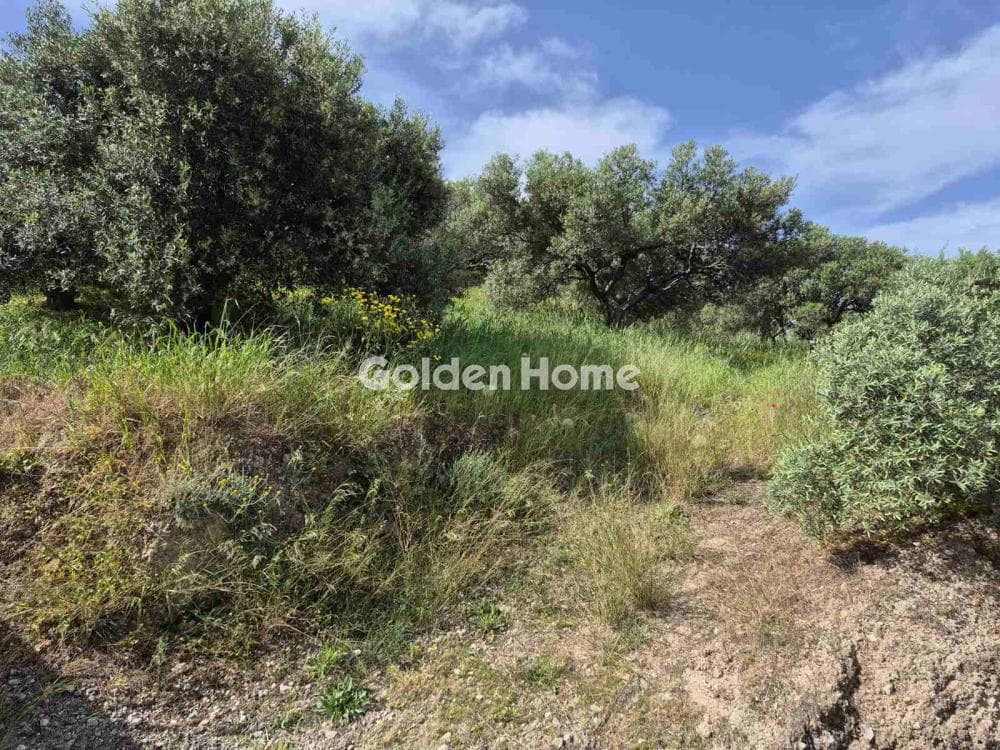 Building Plot in Kato Archanes, Archanes — Photo 9 of 15