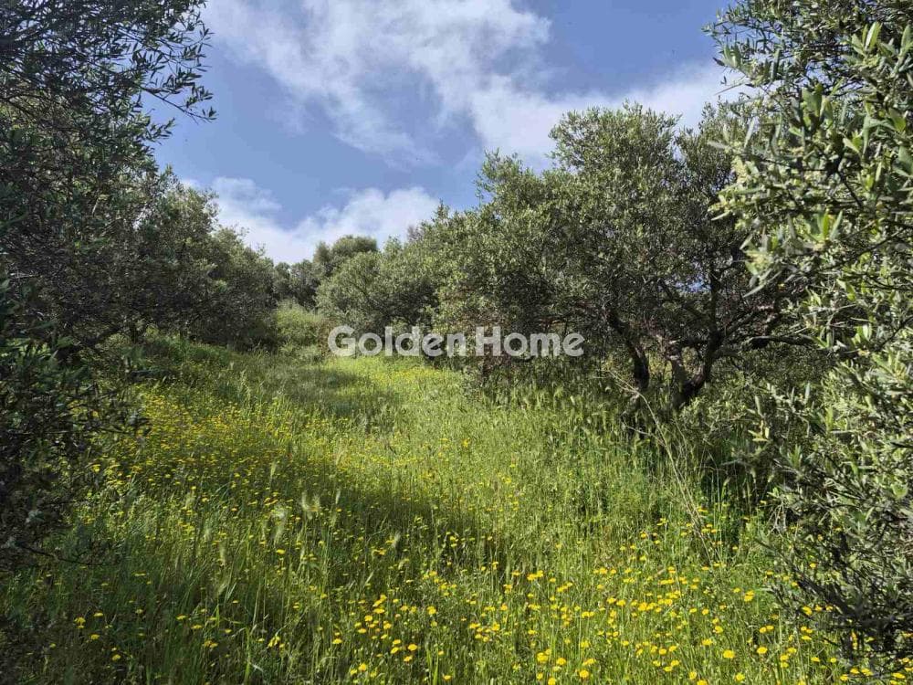 Building Plot in Kato Archanes, Archanes — Photo 7 of 15