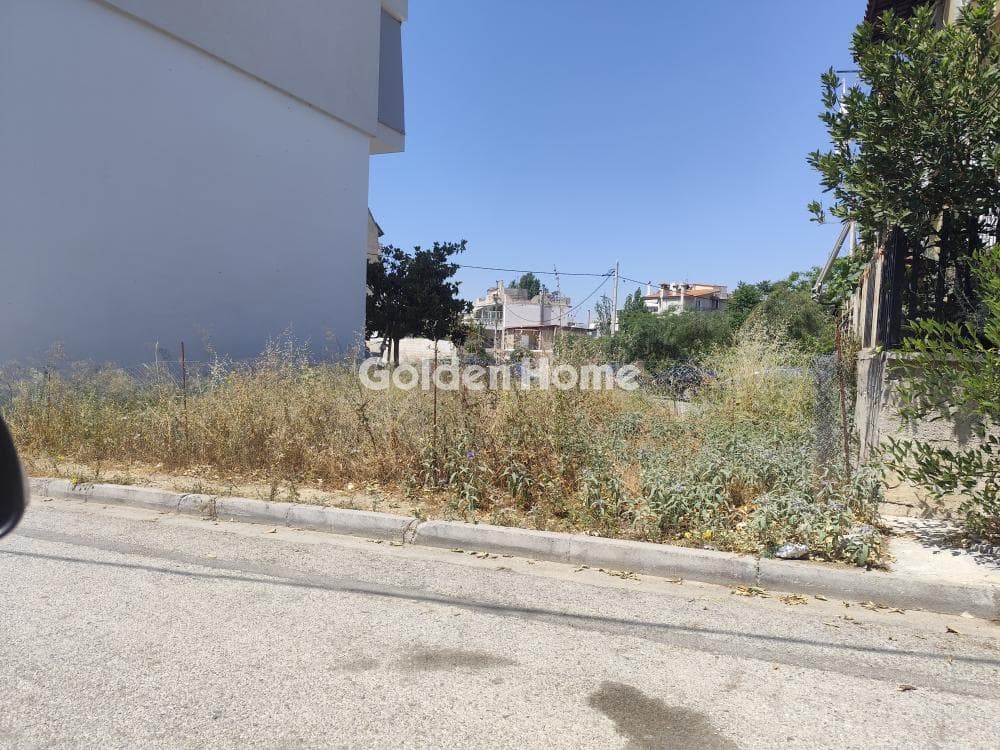 Οικόπεδο στην Ποταμιά, Άγιος Δημήτριος — Φωτογραφία 3 από 4
