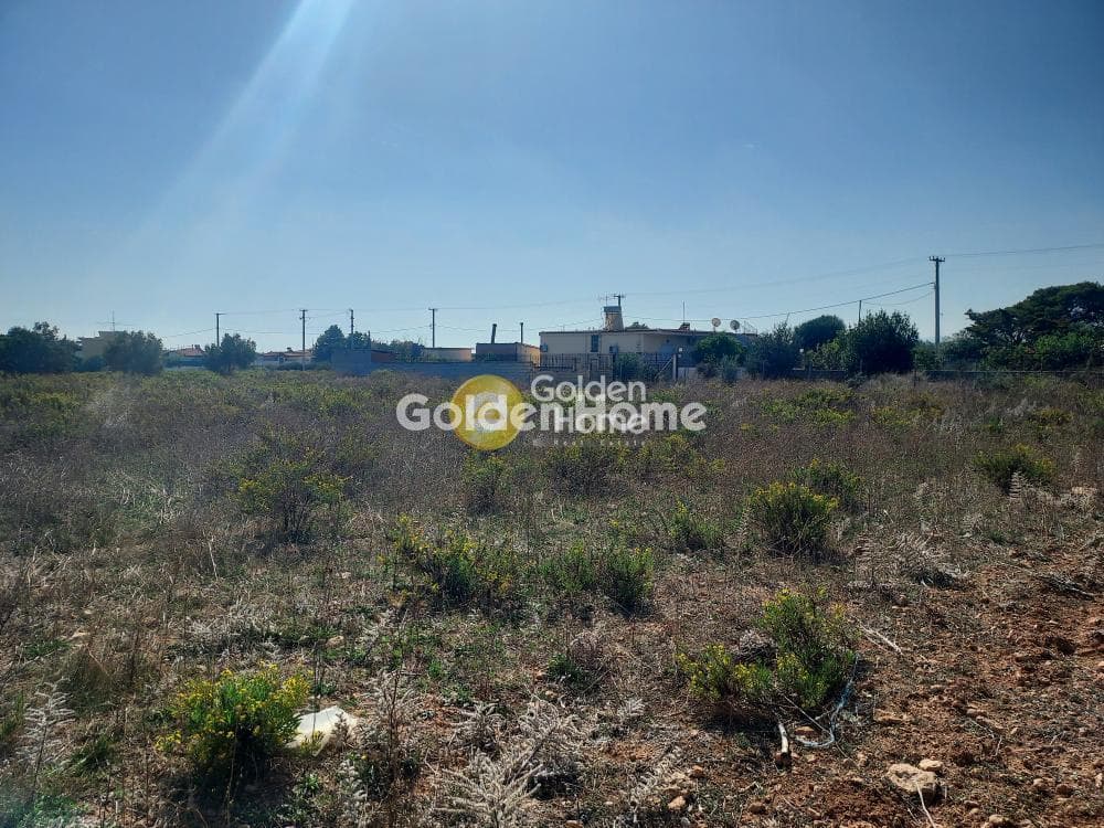 Αγροτεμάχιο στην Πανόραμα, Ραφήνα — Φωτογραφία 1 από 4