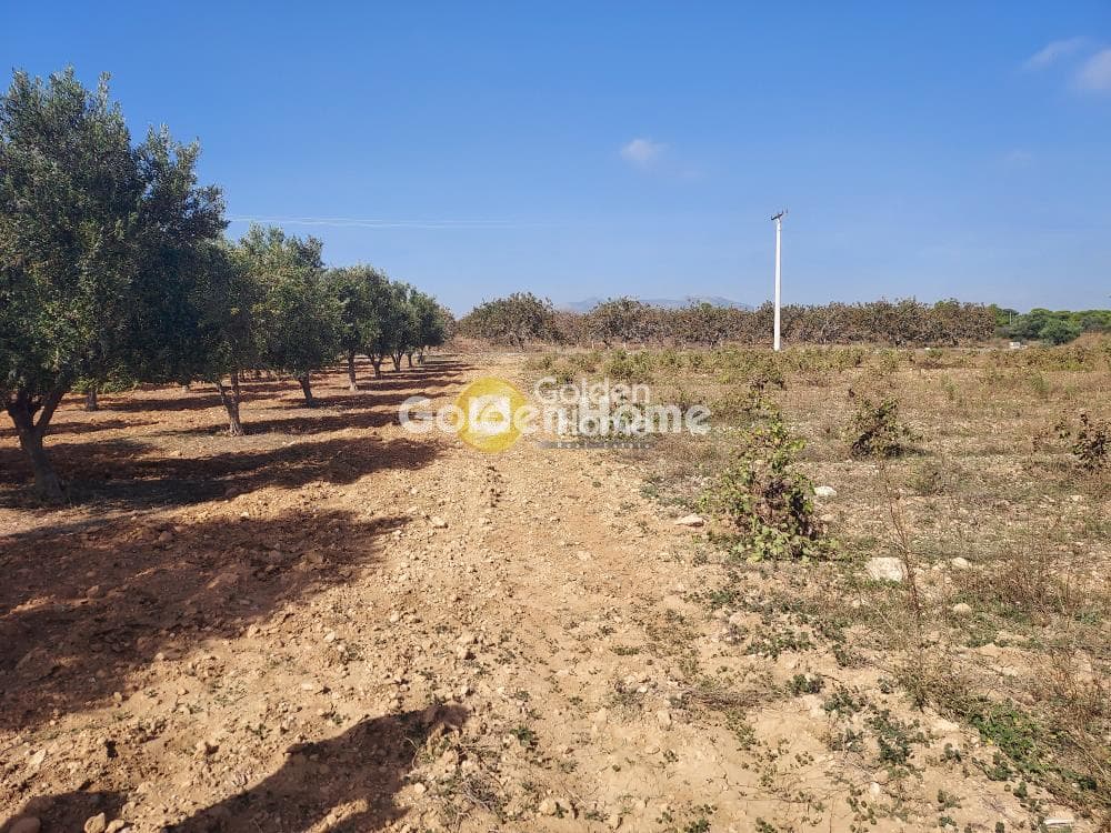 Αγροτεμάχιο στην Πανόραμα, Ραφήνα — Φωτογραφία 3 από 4