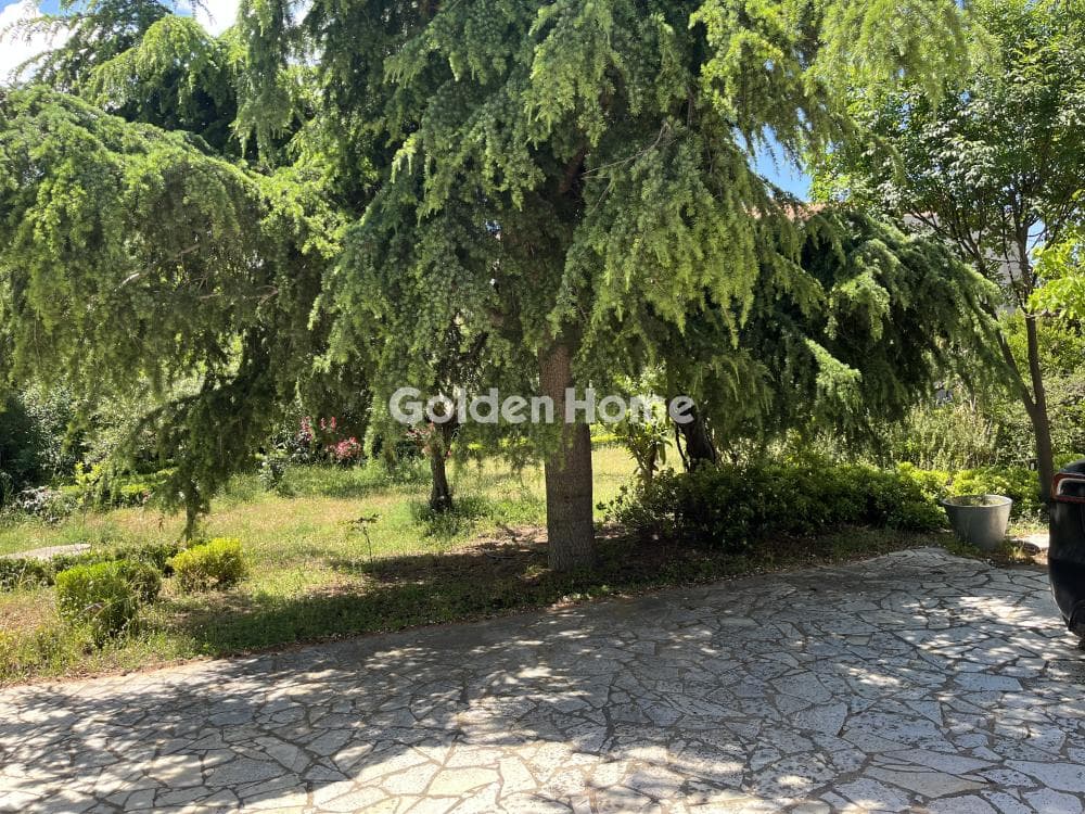 House in Krioneri, Krioneri — Photo 25 of 41