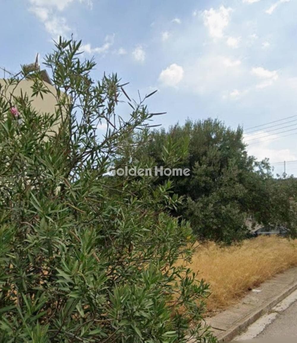 Οικόπεδο στην Ζωφριά, Ζεφύρι — Φωτογραφία 2 από 3