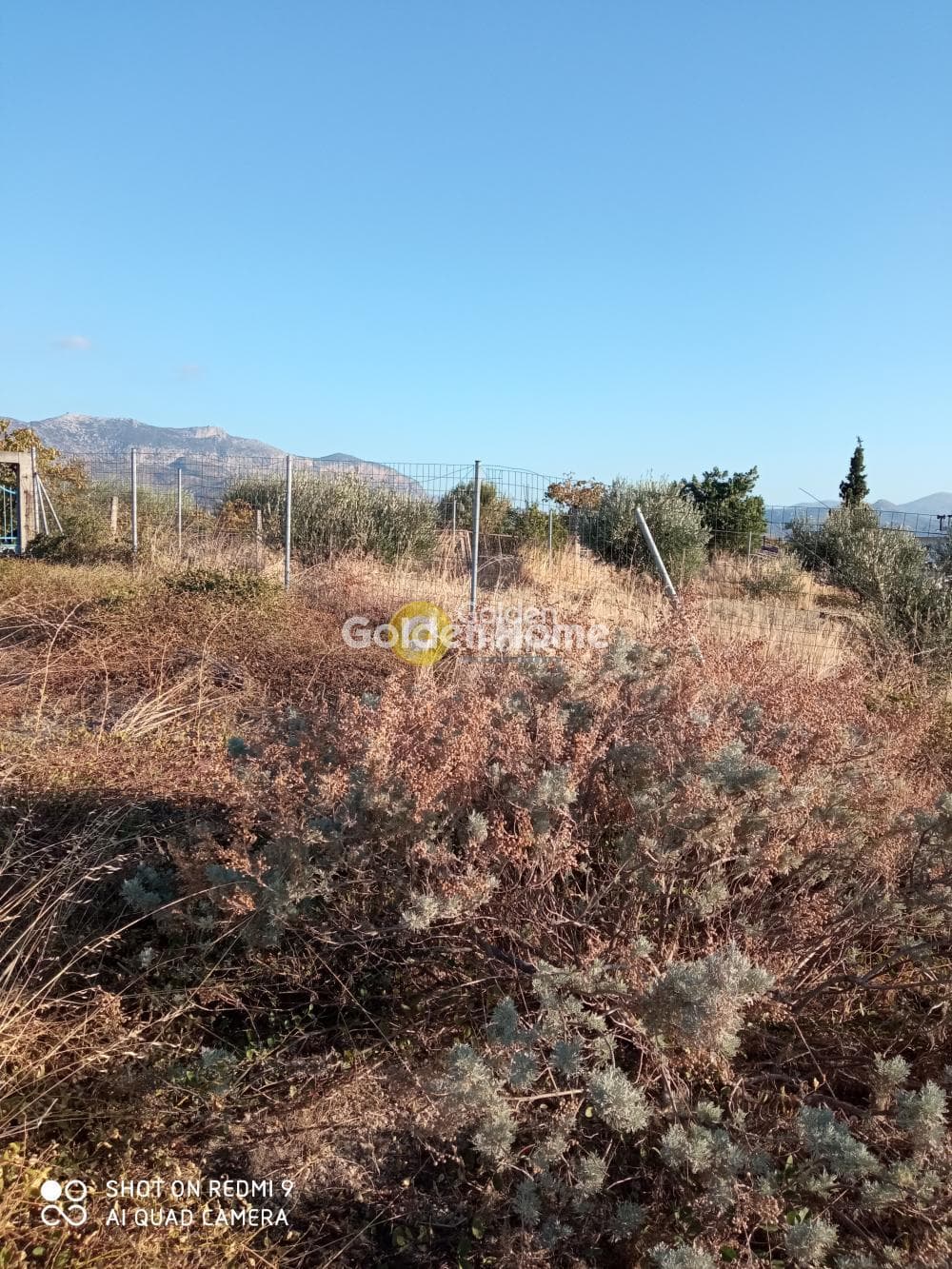 Οικόπεδο στην Αθάνατοι, Τέμενος — Φωτογραφία 6 από 8