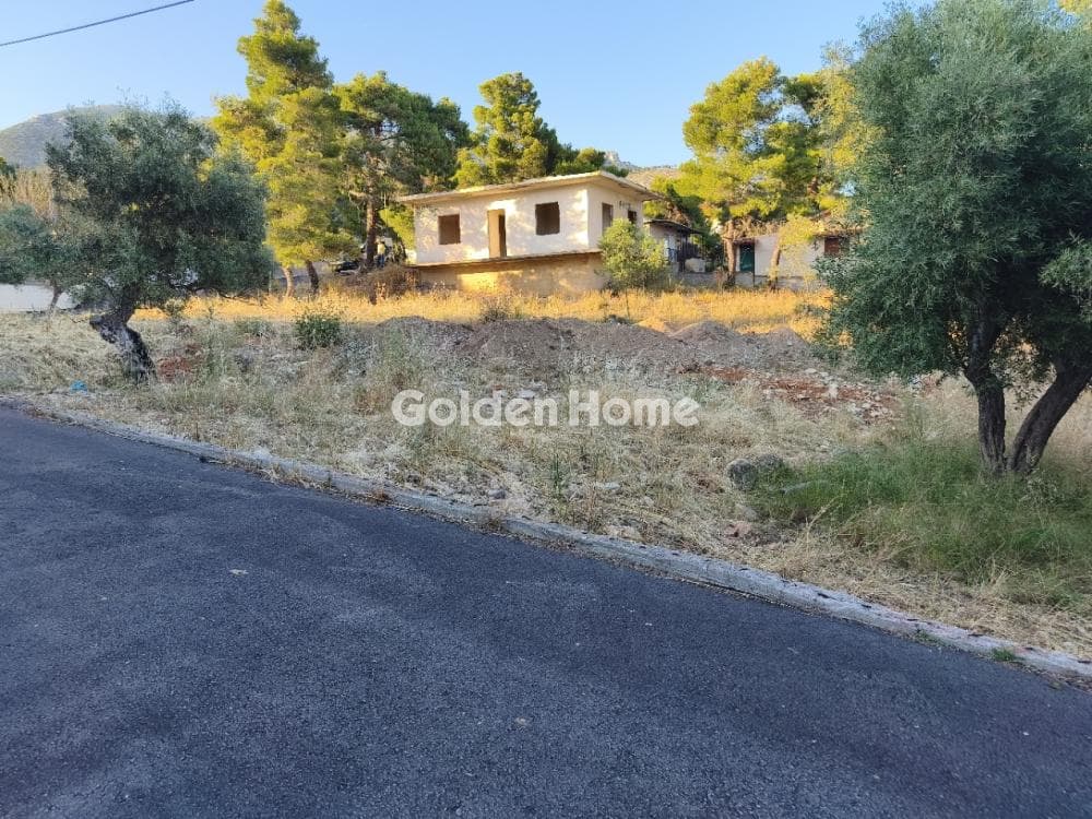 Μονοκατοικία στην Κινέτα, Άγιοι Θεόδωροι — Φωτογραφία 19 από 33