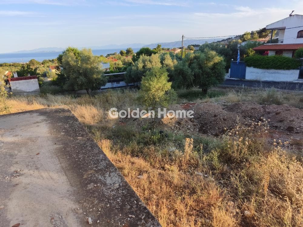 Μονοκατοικία στην Κινέτα, Άγιοι Θεόδωροι — Φωτογραφία 4 από 33