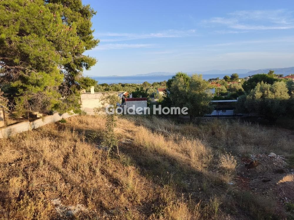 Μονοκατοικία στην Κινέτα, Άγιοι Θεόδωροι — Φωτογραφία 1 από 33