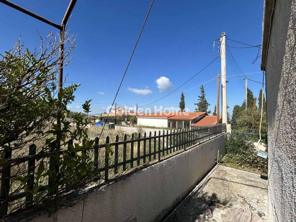 Μονοκατοικία στην Σπιθάρι, Αμπελάκια — Φωτογραφία 10 από 17