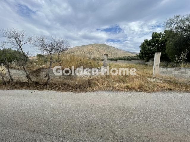 Building Plot in Kalivia, Kalivia Thorikou — Photo 16 of 25