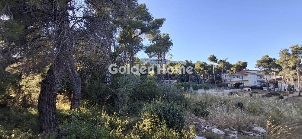 Οικόπεδο στην Μεγάλα Σχοινία Α, Αχαρνές — Φωτογραφία 1 από 10