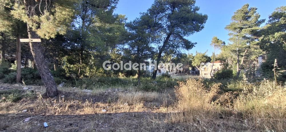 Οικόπεδο στην Μεγάλα Σχοινία Α, Αχαρνές — Φωτογραφία 6 από 10