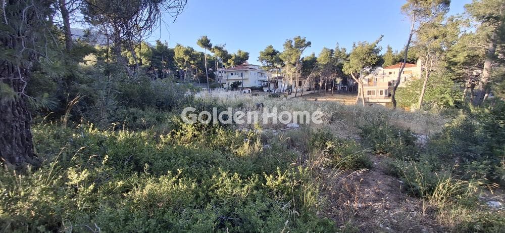 Οικόπεδο στην Μεγάλα Σχοινία Α, Αχαρνές — Φωτογραφία 5 από 10