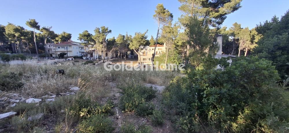 Οικόπεδο στην Μεγάλα Σχοινία Α, Αχαρνές — Φωτογραφία 4 από 10