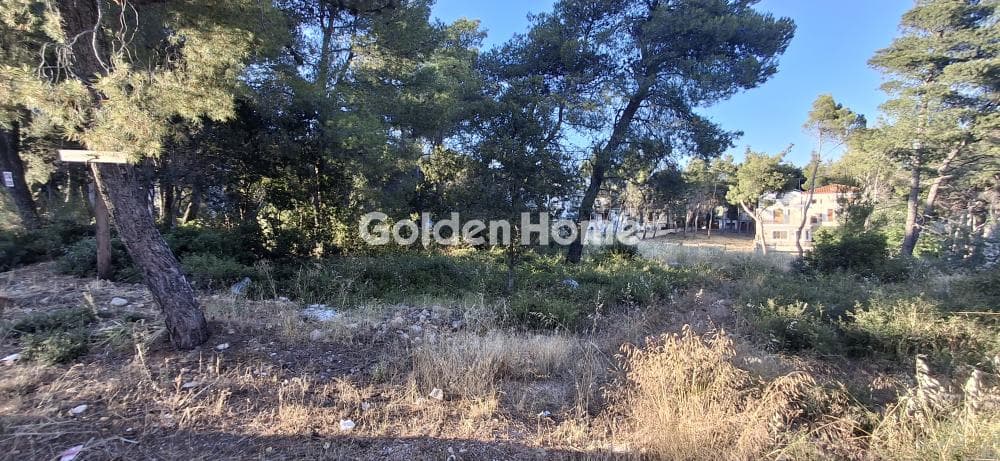 Οικόπεδο στην Μεγάλα Σχοινία Α, Αχαρνές — Φωτογραφία 3 από 10