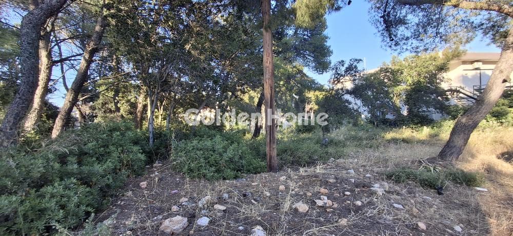 Οικόπεδο στην Μεγάλα Σχοινία Α, Αχαρνές — Φωτογραφία 2 από 10