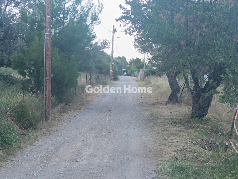 Οικόπεδο στην Κέντρο, Γλυκά Νερά — Φωτογραφία 1 από 5
