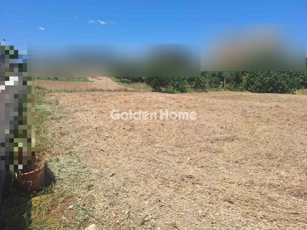 Building Plot in Agia Triada, Heraclion Cretes — Photo 8 of 18