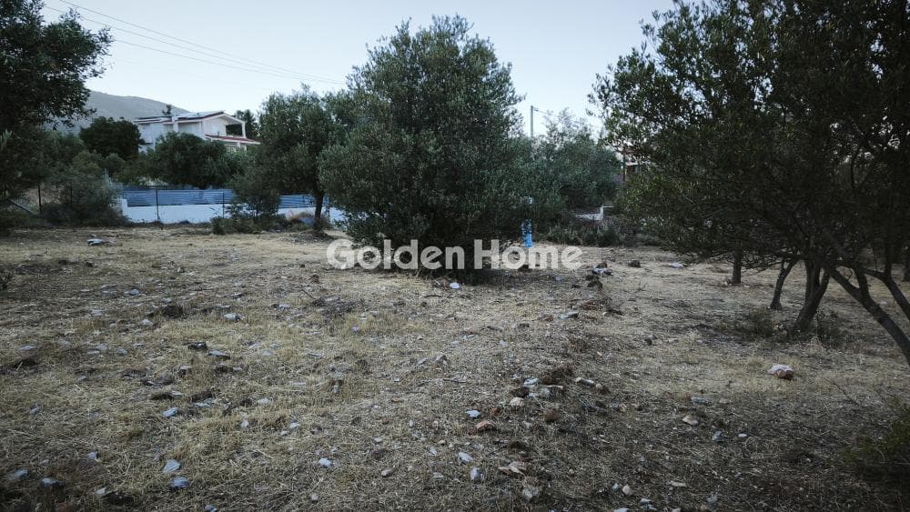 Οικόπεδο στην Μουσείο Βορρέ, Παιανία — Φωτογραφία 2 από 6