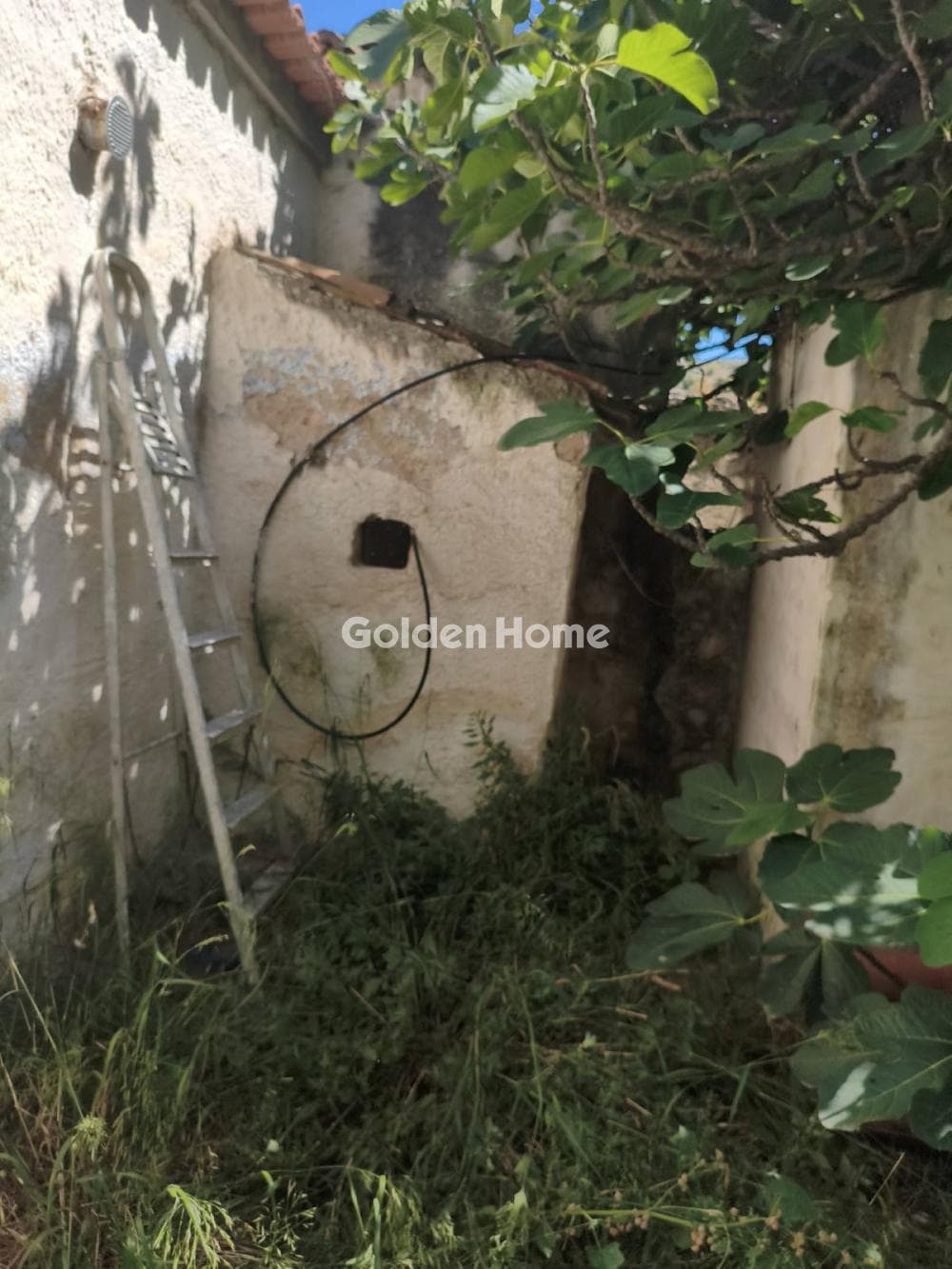House in Tsami, Salamina — Photo 16 of 17