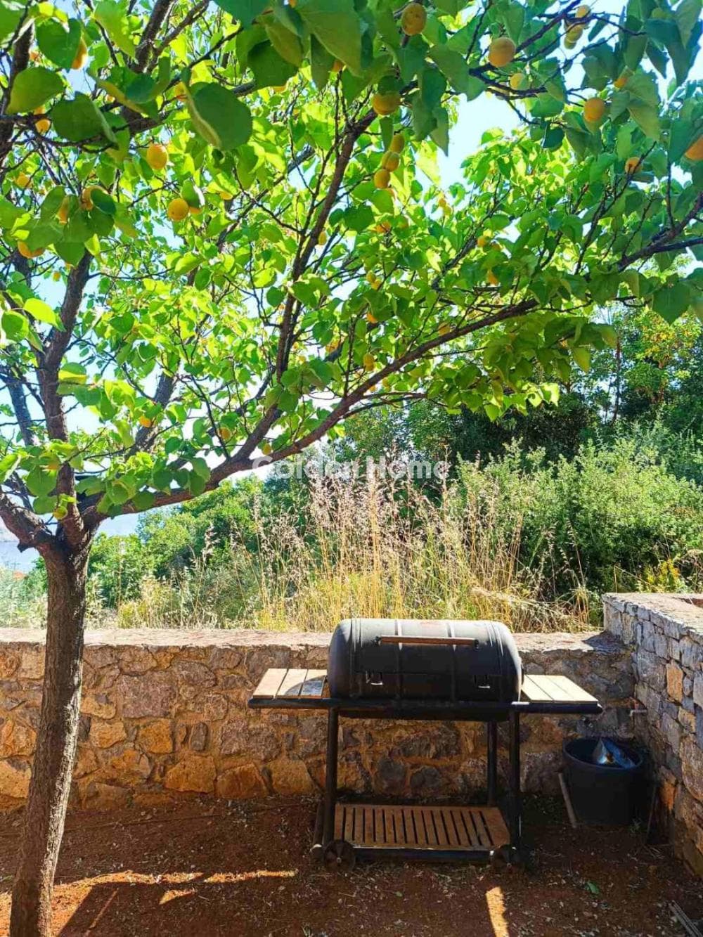 Μονοκατοικία στην Σκροπονέρια, Ακραίφνια — Φωτογραφία 9 από 11