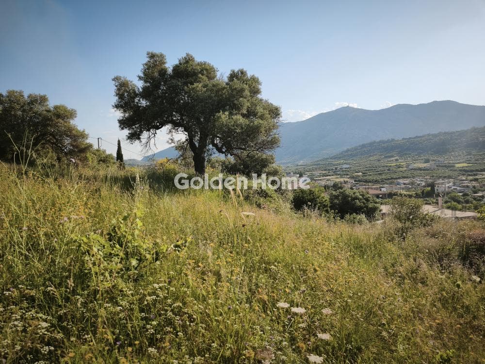 Οικόπεδο στην Κάτω Αρχάνες, Αρχάνες — Φωτογραφία 6 από 6