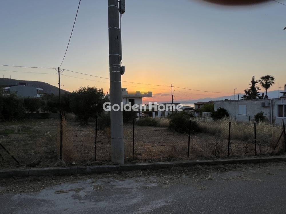 Building Plot in Aiantio, Salamina — Photo 3 of 9