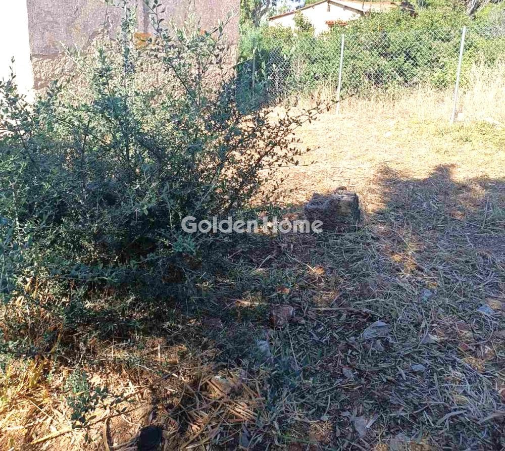 Οικόπεδο στην Ανθούσα, Ανθούσα — Φωτογραφία 4 από 6