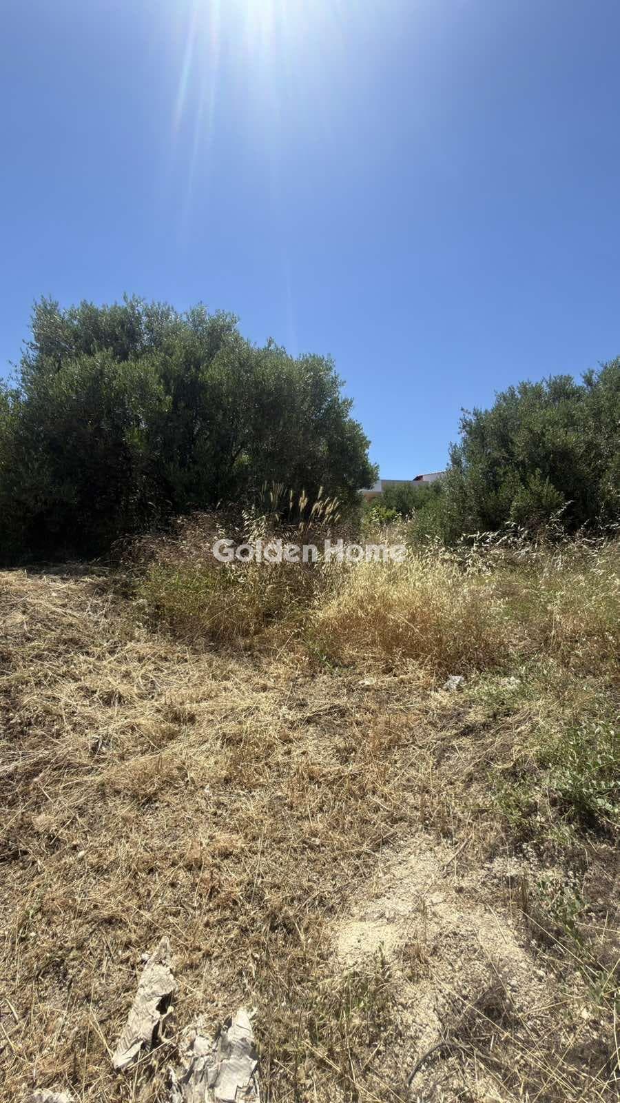 Building Plot in Agios Ioannis Knossou, Heraclion Cretes — Photo 4 of 17