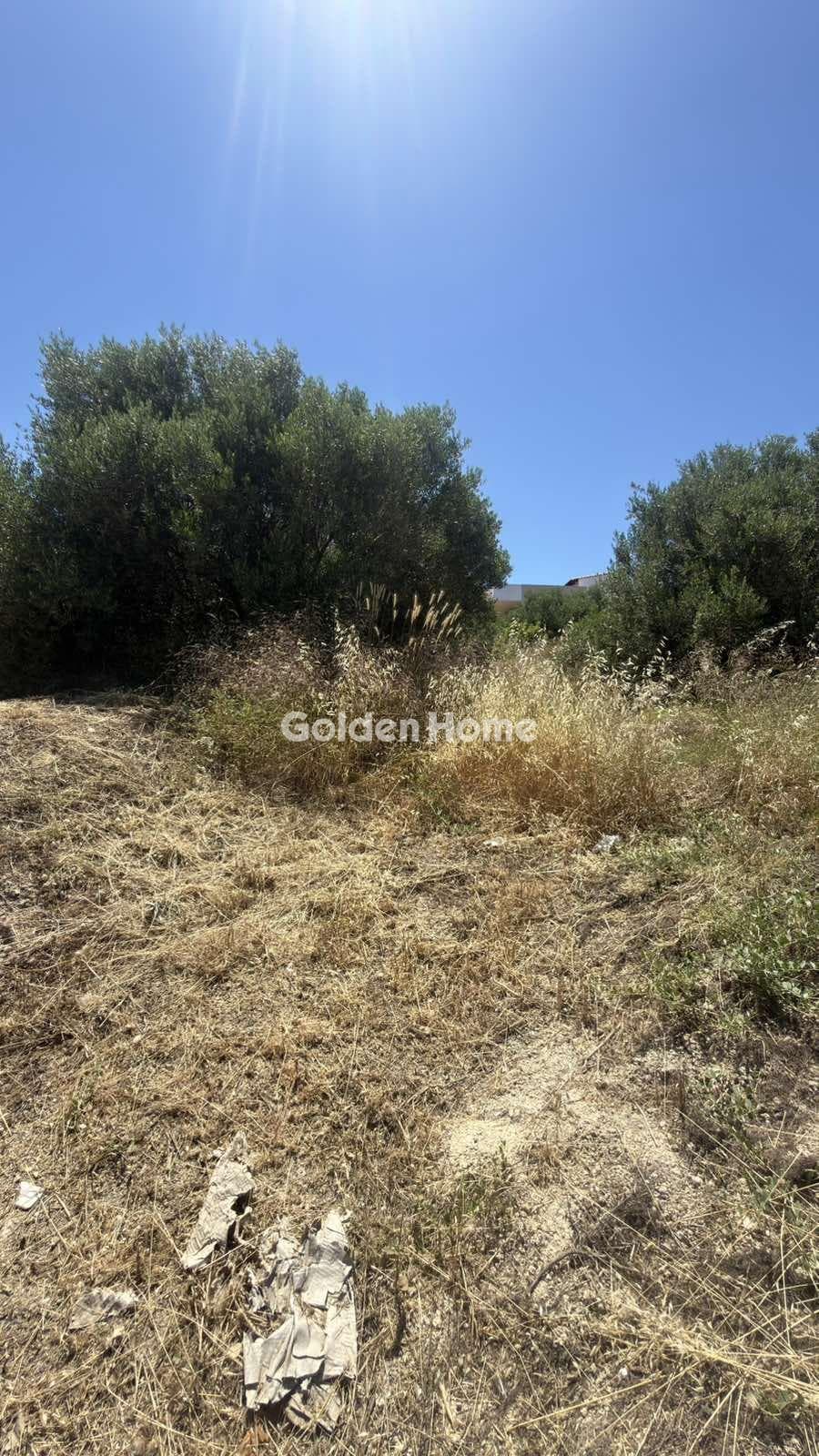 Building Plot in Agios Ioannis Knossou, Heraclion Cretes — Photo 5 of 17