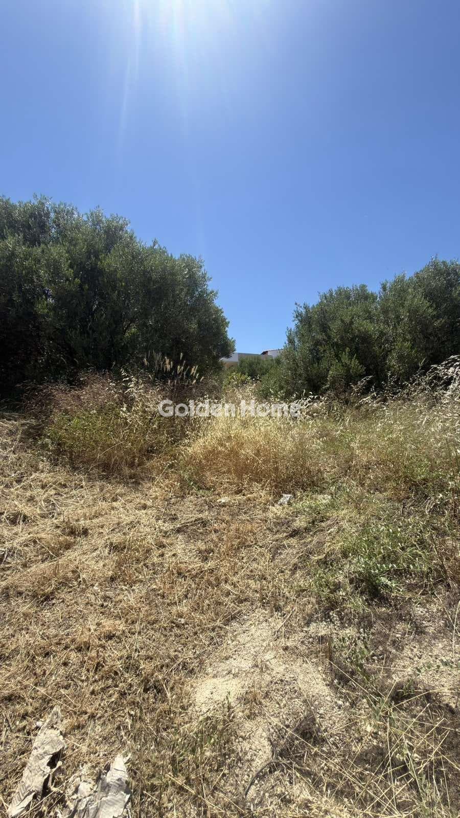 Building Plot in Agios Ioannis Knossou, Heraclion Cretes — Photo 6 of 17