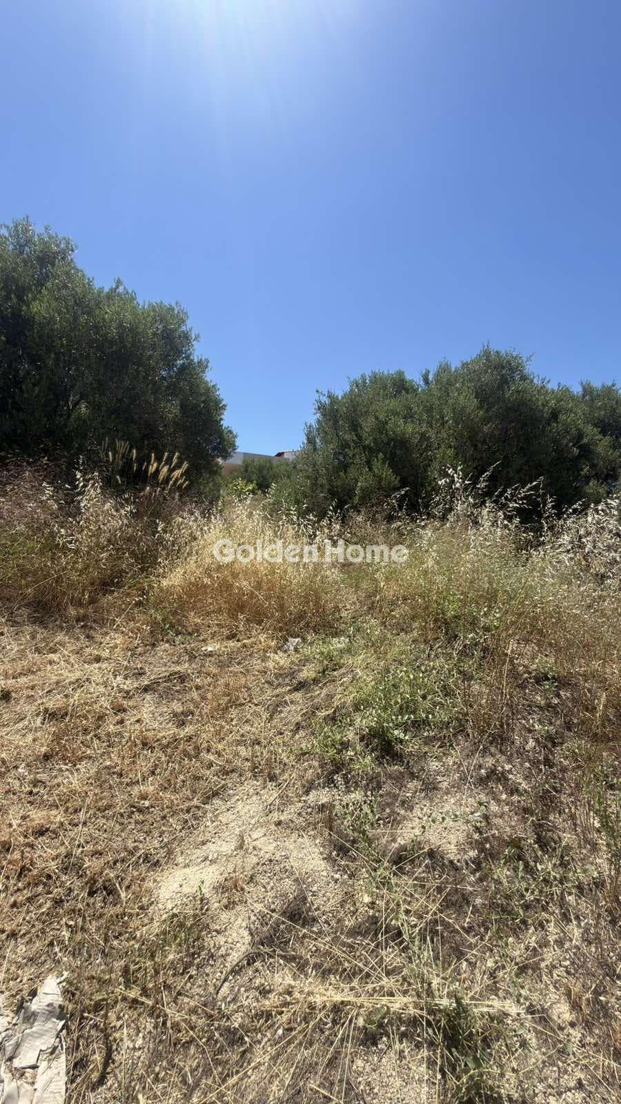 Building Plot in Agios Ioannis Knossou, Heraclion Cretes — Photo 8 of 17