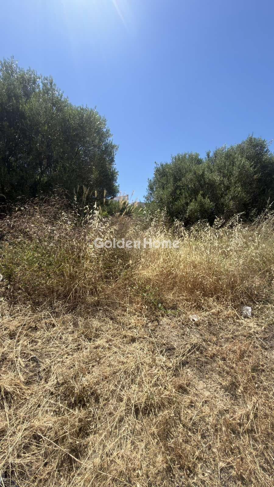 Building Plot in Agios Ioannis Knossou, Heraclion Cretes — Photo 10 of 17