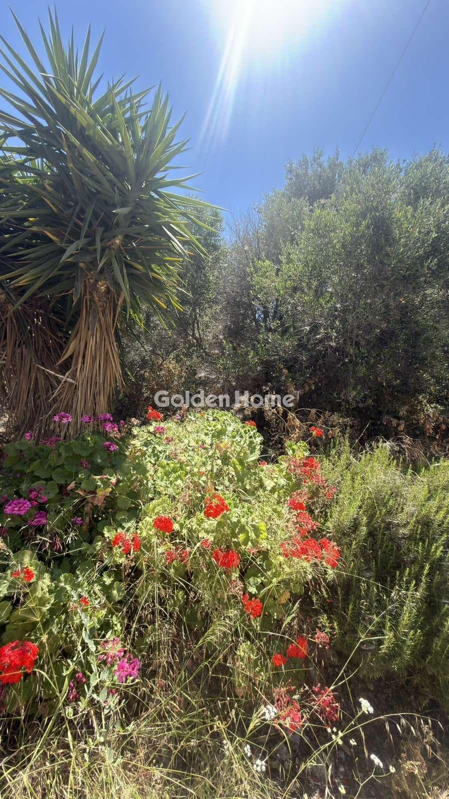 Building Plot in Agios Ioannis Knossou, Heraclion Cretes — Photo 17 of 17