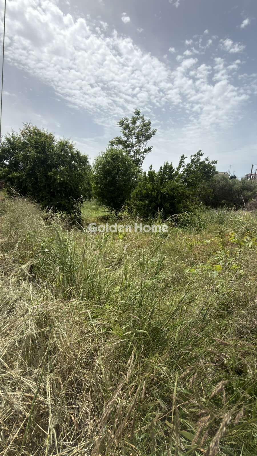 Building Plot in Kato Kalesia, Temenos — Photo 3 of 9