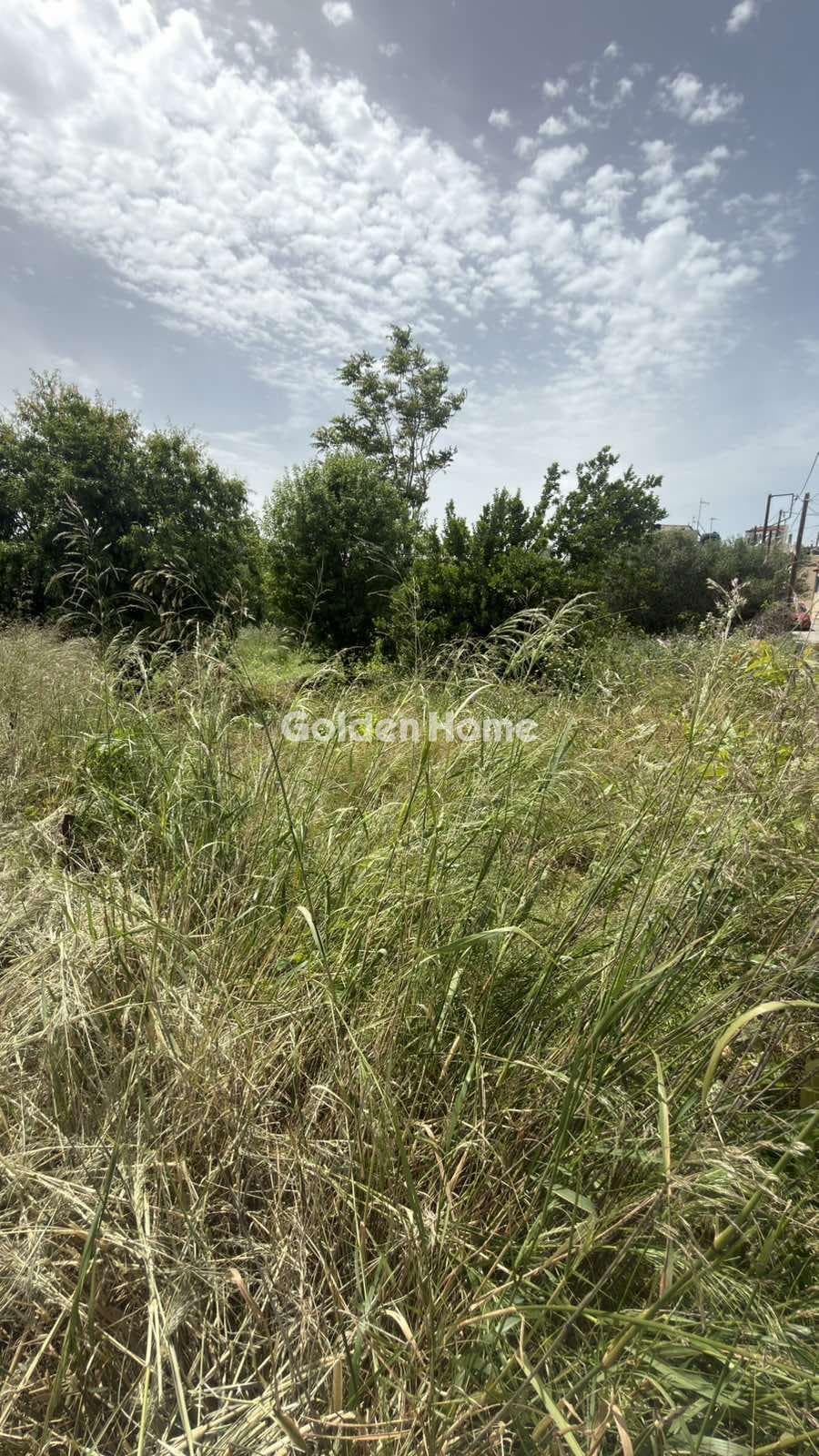 Building Plot in Kato Kalesia, Temenos — Photo 4 of 9