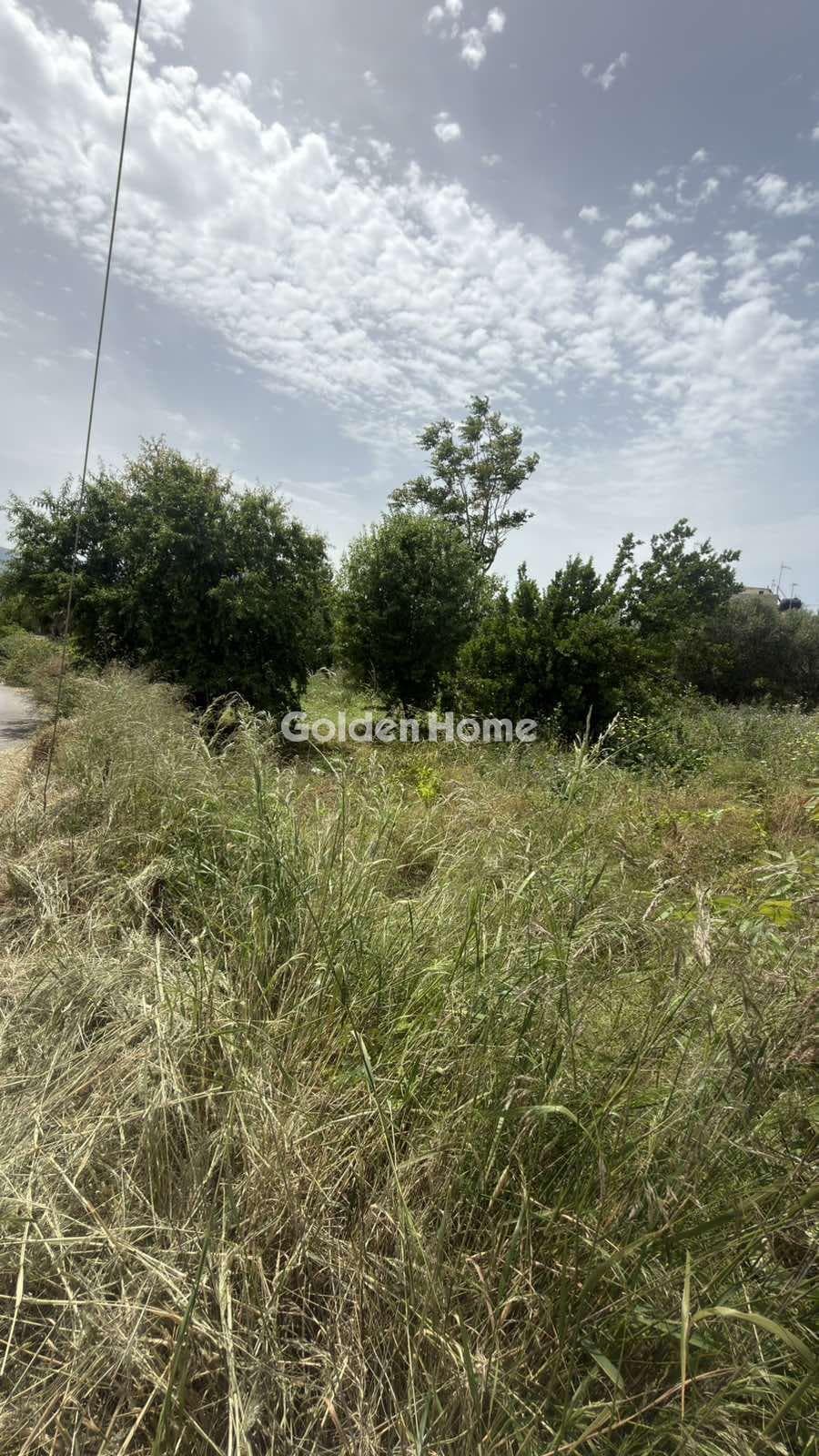 Building Plot in Kato Kalesia, Temenos — Photo 8 of 9