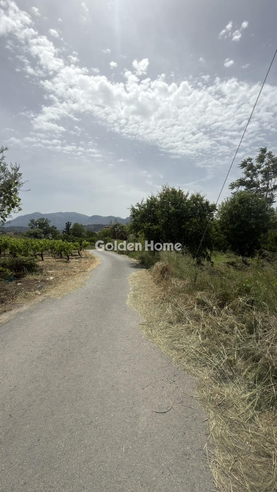 Building Plot in Kato Kalesia, Temenos — Photo 9 of 9