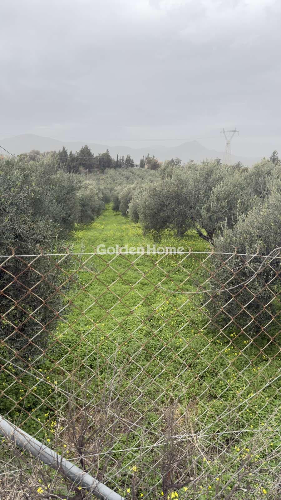 Building Plot in Kato Kalesia, Temenos — Photo 4 of 5