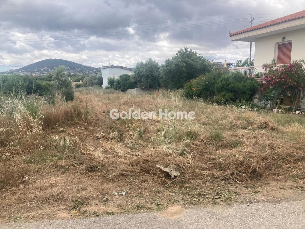 Οικόπεδο στην Κέντρο, Αρτέμιδα (Λούτσα)