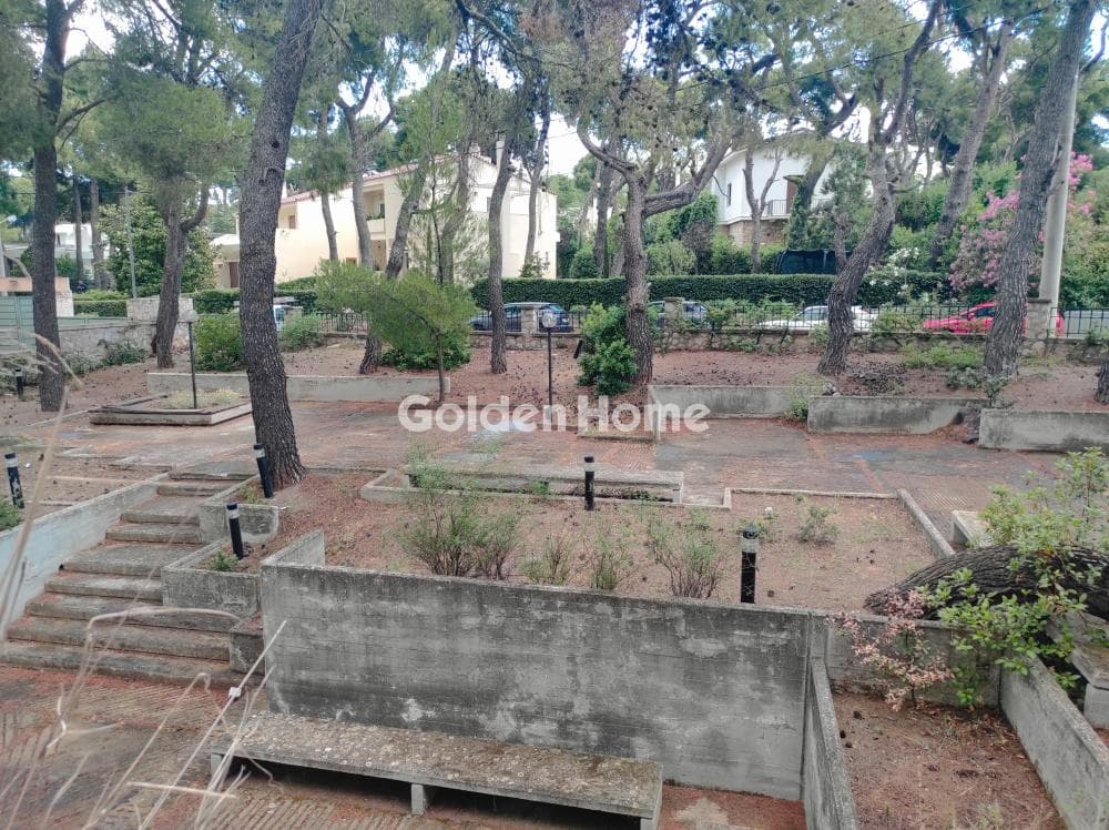 House in Adames Oikismos Peloponnision, Kifisia — Photo 41 of 55
